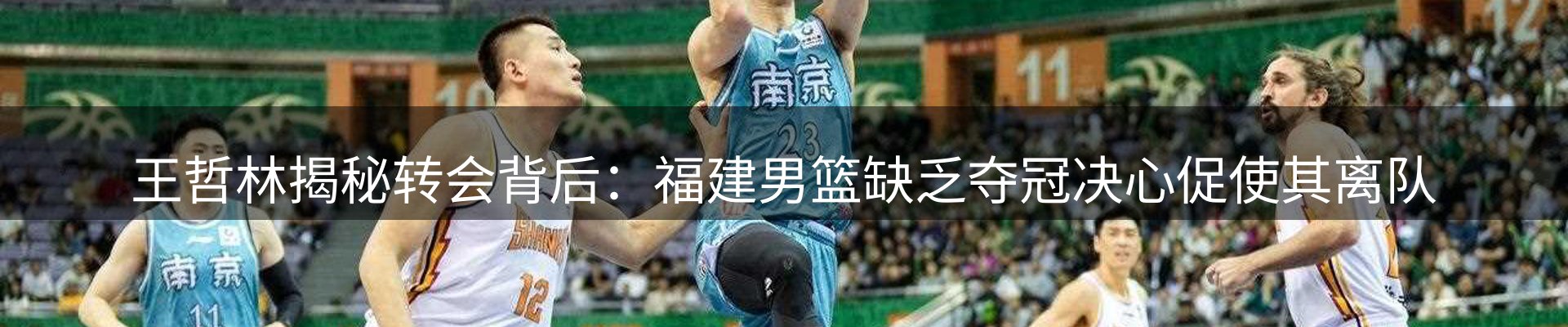 品牌资讯